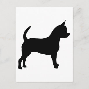Chihuahua Dog Briefkaart
