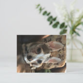 Chihuahua Dog Briefkaart (Staand voorkant)
