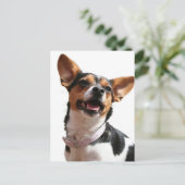 Chihuahua Dog Briefkaart (Staand voorkant)