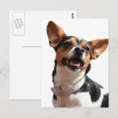 Chihuahua Dog Briefkaart (Voorkant / Achterkant)