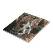 Chihuahua Dog Ceramic Tile Tegeltje (Zijkant)