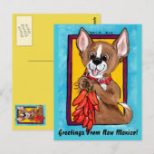 Chihuahua Dog Chili Peppers New Mexico Briefkaart (Voorkant / Achterkant)