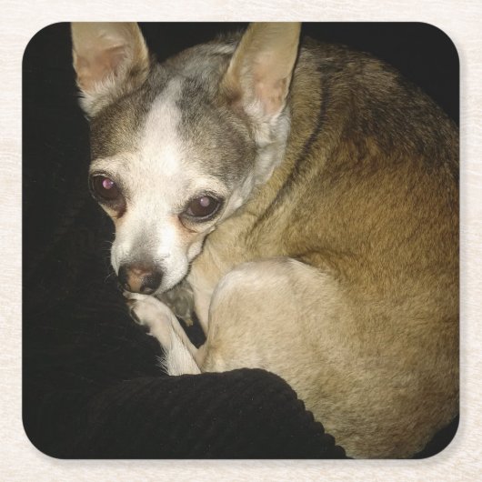 Chihuahua Dog Drink Onderzetter (Voorkant)