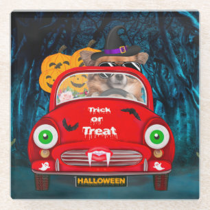 Chihuahua Dog Driving Car Scary Halloween Glazen Onderzetter