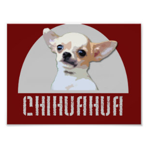 Chihuahua Dog Foto Afdruk
