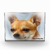 Chihuahua Dog. Fotoblokken (Voorkant)