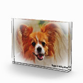 Chihuahua Dog. Fotoblokken (Rechts)