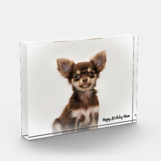 Chihuahua Dog. Fotoblokken (Links)