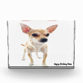 Chihuahua Dog. Fotoblokken (Voorkant)