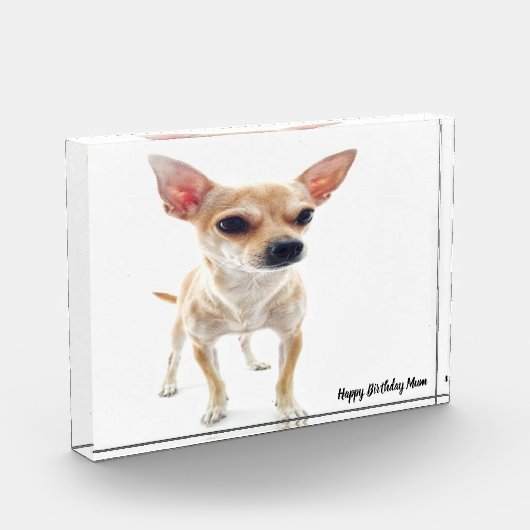 Chihuahua Dog. Fotoblokken (Links)