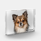 Chihuahua Dog. Fotoblokken (Links)