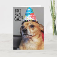 CHIHUAHUA DOG GRAPPIGE VERJAARDAG KAART