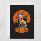 Chihuahua Dog Halloween Kaart (Voorkant)