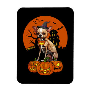 Chihuahua Dog Halloween Magneet