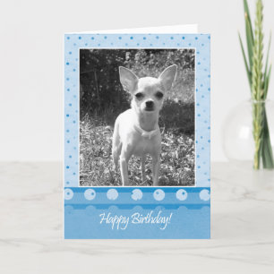 Chihuahua Dog Happy Birthday Wenskaart Kaart