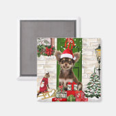 Chihuahua Dog Kerstmis Magneet (Voorkant / Achterkant)