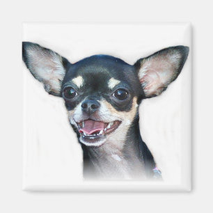 Chihuahua dog Magnet