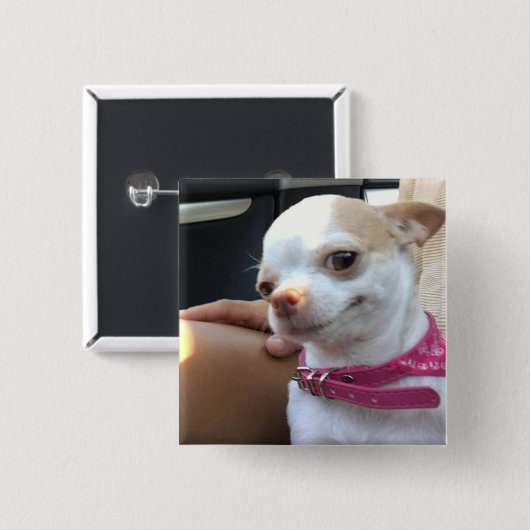  Chihuahua Dog Meme Pin Button (Voorkant /achterkant)