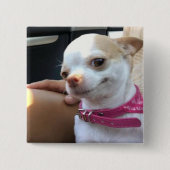  Chihuahua Dog Meme Pin Button (Voorkant)