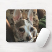 Chihuahua Dog Mousepad Muismat (Met muis)