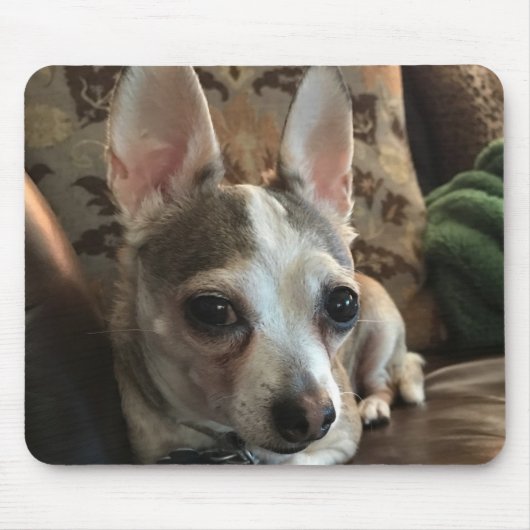 Chihuahua Dog Mousepad Muismat (Voorkant)