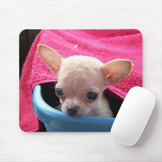 Chihuahua Dog Mousepad Muismat (Met muis)