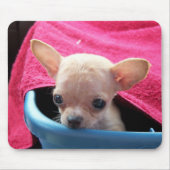Chihuahua Dog Mousepad Muismat (Voorkant)