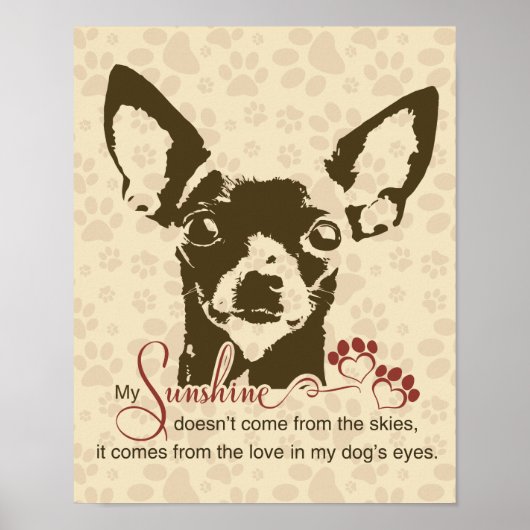 Chihuahua Dog My Sunshine Poster (Voorkant)