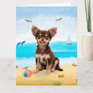 Chihuahua Dog op strand Kaart