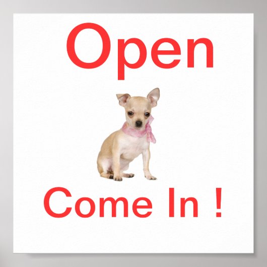 Chihuahua Dog Open Sign Poster (Voorkant)