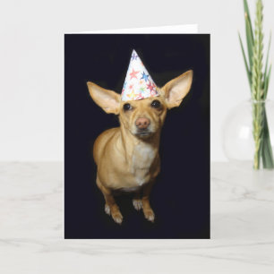 Chihuahua Dog Part Pet Verjaardag Wenskaart Kaart
