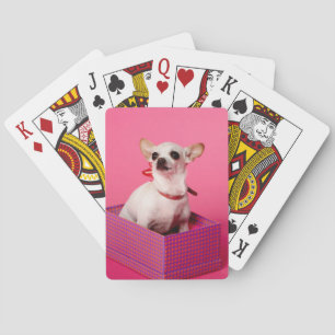 Chihuahua Dog Playing Cards Speelkaarten
