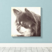 Chihuahua Dog Portrait Canvas Afdruk (Insitu (Houten vloer))
