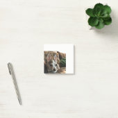 Chihuahua Dog Post Post-it® Notes (Kantoor)