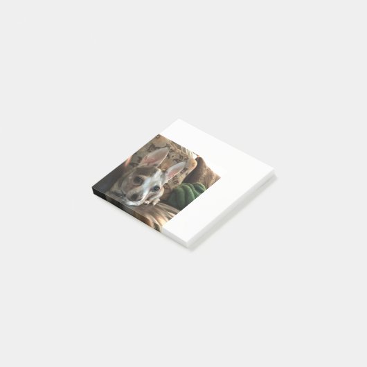 Chihuahua Dog Post Post-it® Notes (Schuin)