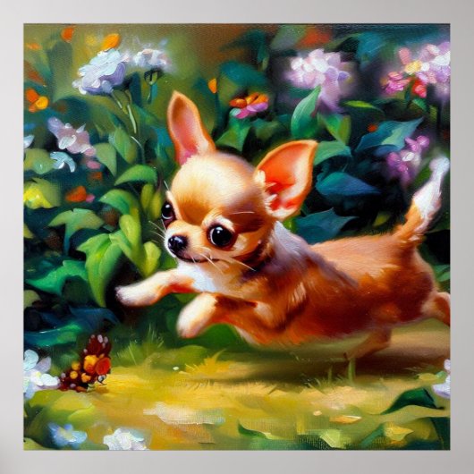 Chihuahua Dog Poster (Voorkant)