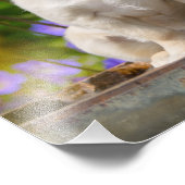 Chihuahua Dog Puppy met lange adem - Paperprint Foto Afdruk (Hoek)