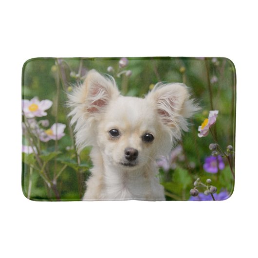Chihuahua Dog Puppy Photo Cute long-haire Badmat (Voorkant)