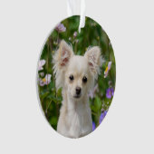 Chihuahua Dog Puppy Photo Cute long-haire Ornament (voorkant)