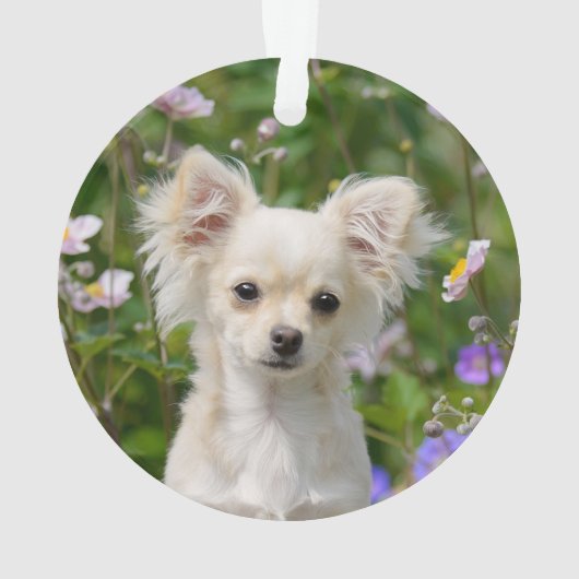 Chihuahua Dog Puppy Photo Cute long-haire Ornament (achterkant)