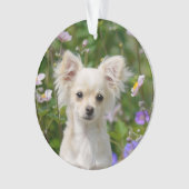 Chihuahua Dog Puppy Photo Cute long-haire Ornament (voorkant)