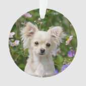 Chihuahua Dog Puppy Photo Cute long-haire Ornament (voorkant)