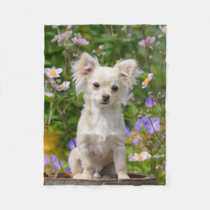 Chihuahua Dog Puppy Photo met lange adem - Comfy Fleece Deken