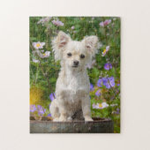 Chihuahua Dog Puppy Photo met lange hals - Game Legpuzzel (Verticaal)