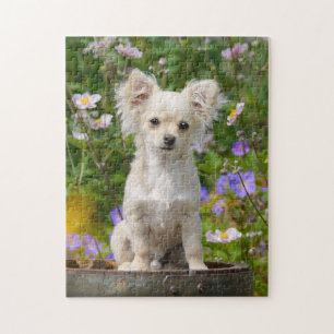 Chihuahua Dog Puppy Photo met lange hals - Game Legpuzzel