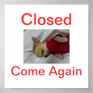 Chihuahua Dog Sluiting van gebarentaal gesloten Poster