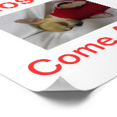 Chihuahua Dog Sluiting van gebarsten Poster (Hoek)