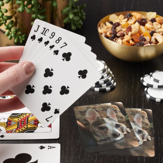 Chihuahua Dog-speelkaarten Pokerkaarten (Insitu)