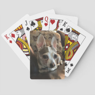 Chihuahua Dog-speelkaarten Pokerkaarten