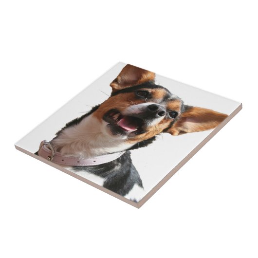 Chihuahua Dog Tile Tegeltje (Zijkant)